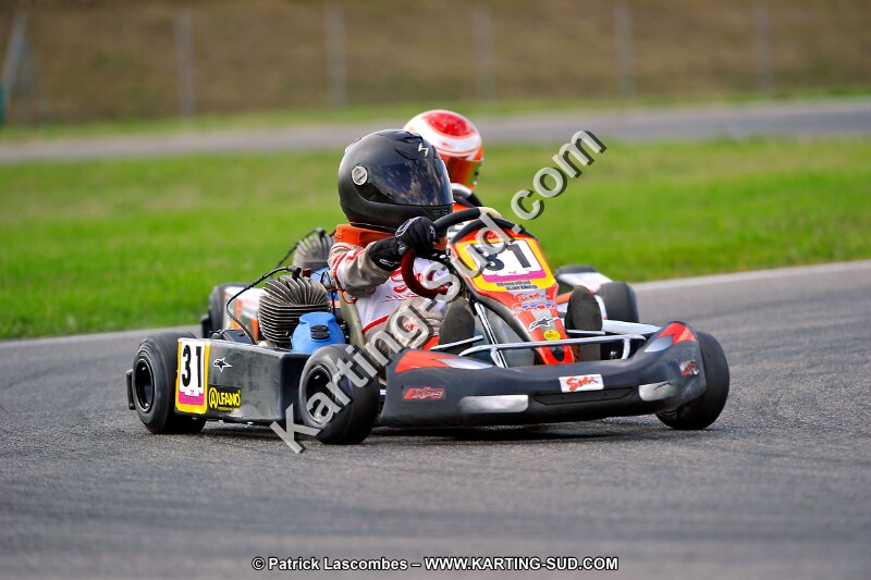 DSC_ (860).jpg